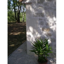 Ciment Pour Ouvrages Esthétiques - Superblanc 42,5N CE NF - Sac De 25kg -Bosch Soldes Boutique 2 164