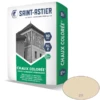 Chaux Naturelle Colorée Saint Astier HL 2 Teinte 029 Brun Clair - 30 KG -Bosch Soldes Boutique chaux coloree 29