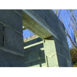 Prélinteau PL20 En Béton Précontraint - 200 MM X 50 MM - Longueur 1 M