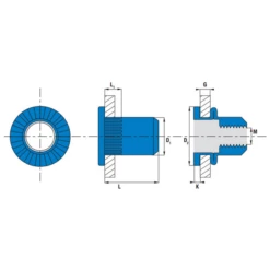 Scell-It Ecrou Aveugle Cranté Acier Tête Plate Ø 04-30 : TCD0430